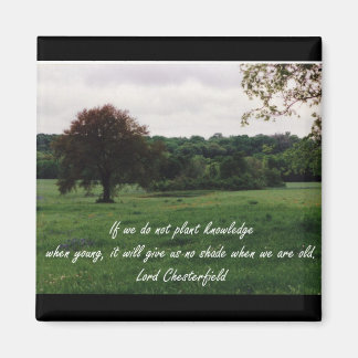 Aimant de connaissance de la plantation