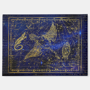 aimant de constellation de lézard et de cygne