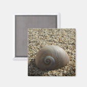 Aimant de coque de mer (Recto/Verso)