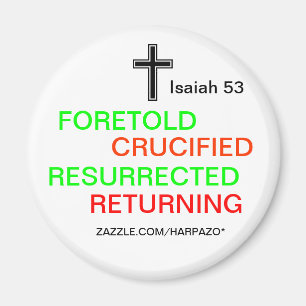 AIMANT DE COQUILLE DE NOIX D'ÉVANGILE