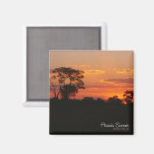 Aimant de coucher de soleil Acacia (Recto/Verso)