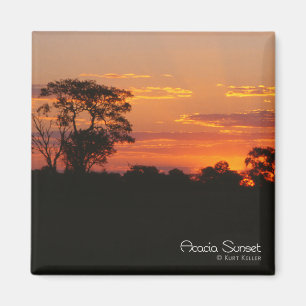 Aimant de coucher de soleil Acacia