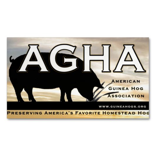 Aimant de couleur d'AGHA (devant)