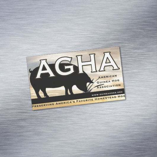 Aimant de couleur d'AGHA (In Situ)