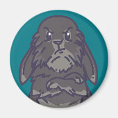 Aimant de crabbit (Devant)