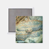 Aimant de crotale (Recto/Verso)