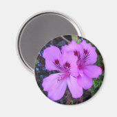 Aimant de cuisine aux fleurs violettes (Recto/Verso)