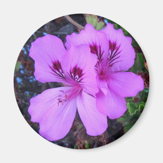 Aimant de cuisine aux fleurs violettes (Devant)