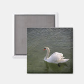 Aimant de cygne (Recto/Verso)