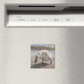 Aimant de cygne animal bébé (In Situ (Lave-vaisselle))