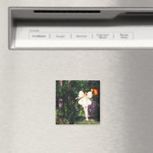 Aimant de danse des papillons (In Situ (Lave-vaisselle))