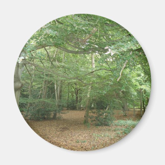 Aimant de défrichement des bois (Devant)