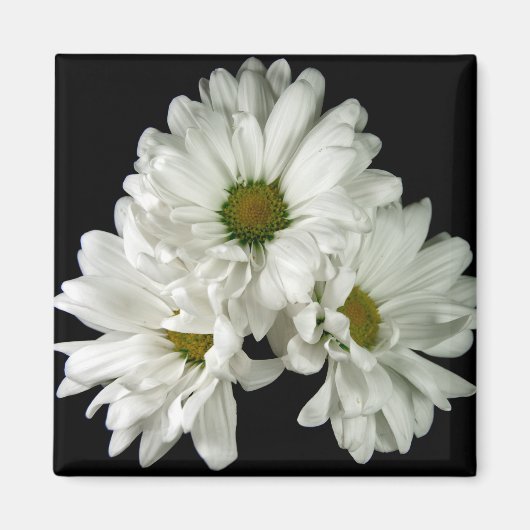 Aimant de délice triple (Devant)