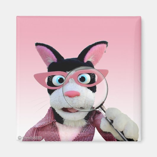 Aimant de démarrage (Devant)