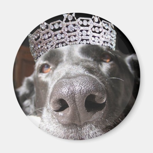 Aimant de Diva (Devant)