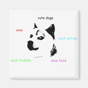 Aimant de doge