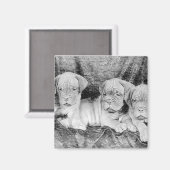 Aimant de Dogue de bordeaux (Recto/Verso)