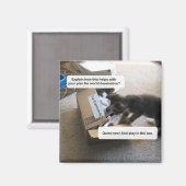 Aimant de Domination Mondiale Chat (Recto/Verso)