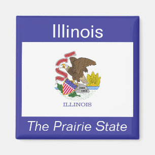 Aimant de drapeau de l'Illinois