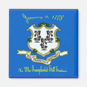 Aimant de drapeau du Connecticut