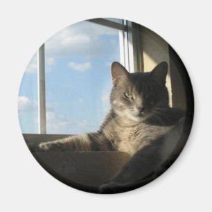 aimant de fenêtre de Stella