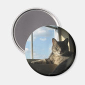 aimant de fenêtre stella (Recto/Verso)