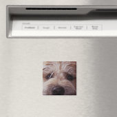 Aimant de fermeture de la face du chiot (In Situ (Lave-vaisselle))