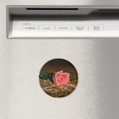 Aimant de fermeture rose (In Situ (Lave-vaisselle))