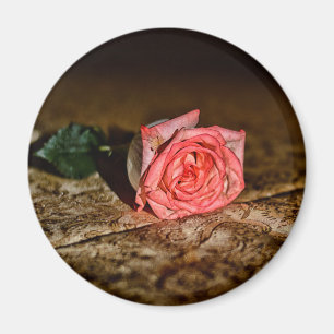 Aimant de fermeture Rose