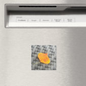 Aimant de feuilles (In Situ (Lave-vaisselle))