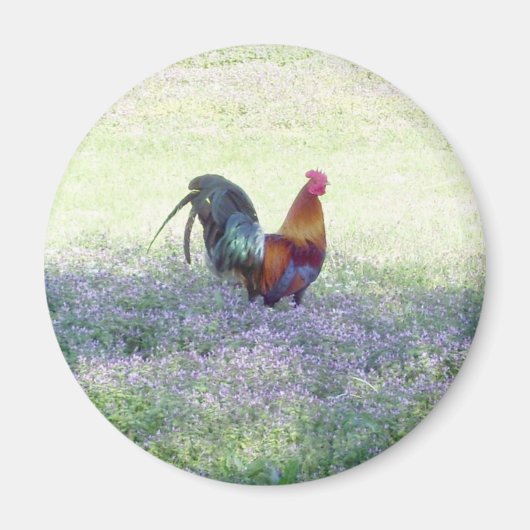 Aimant de fierté plumes (Devant)