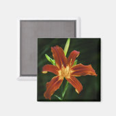 Aimant de flamme du jardin (Recto/Verso)