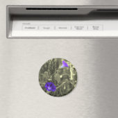 Aimant de fleur blanche de noir de gloires de (In Situ (Lave-vaisselle))