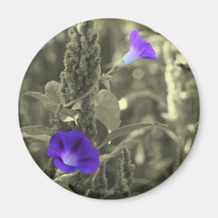 Aimant de fleur blanche de noir de gloires de