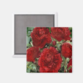 Aimant de fleurs de carnation rouge (Recto/Verso)