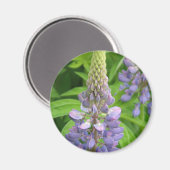Aimant de fleurs de lupine violet (Recto/Verso)