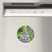 Aimant de fleurs de lupine violet (In Situ (Lave-vaisselle))