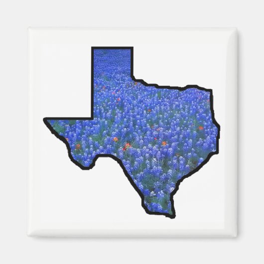 Aimant de forme d'état du Texas (Devant)