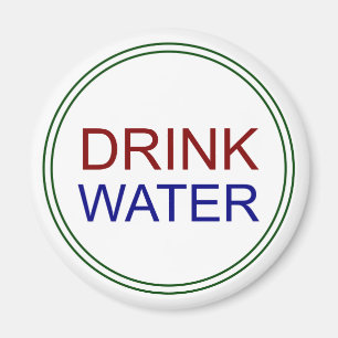 Aimant de Frig de rappel de régime