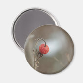 Aimant de fruits Roses sauvages (Recto/Verso)
