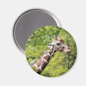Aimant de girafe (Recto/Verso)