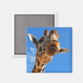 Aimant de girafe (Recto/Verso)