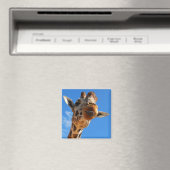 Aimant de girafe (In Situ (Lave-vaisselle))