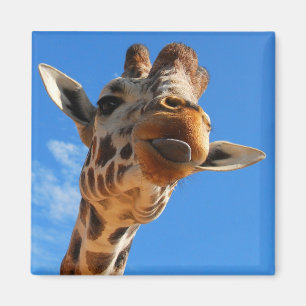Aimant de girafe