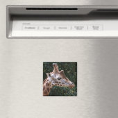 Aimant de girafe (In Situ (Lave-vaisselle))
