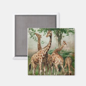 Aimant de girafe vintage (Recto/Verso)