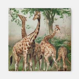 Aimant de girafe vintage