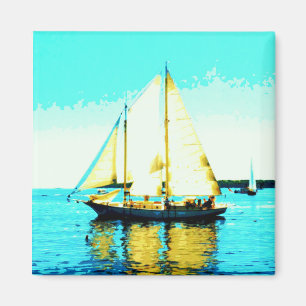 aimant de goélette à voile