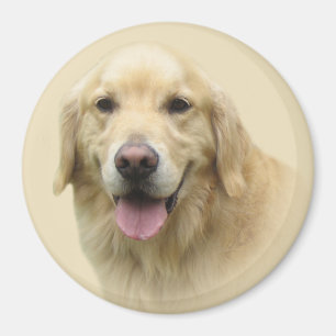 Aimant de golden retriever