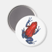 Aimant de grenouille à tarte poison (Recto/Verso)